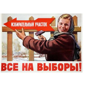 Все на выборы!