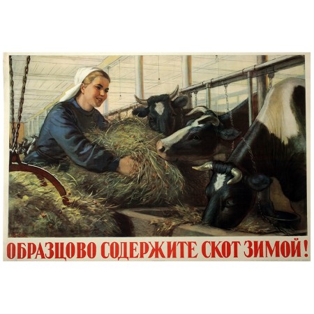 Образцово содержите скот зимой!