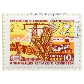 Сельское хозяйство Сельское хозяйство