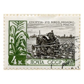 Кукуруза Кукуруза