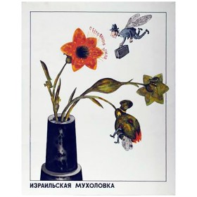 Израильская мухоловка Израильская мухоловка