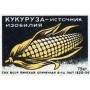 Кукуруза-источник изобилия